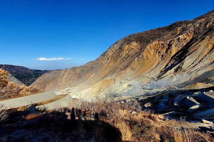 Full Day Private Guided Tour Mt. Fuji and Hakone