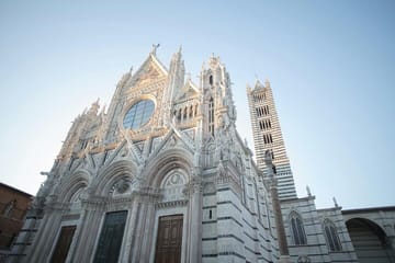 Day Trip from Pisa to Florence, San Gimignano, and Siena