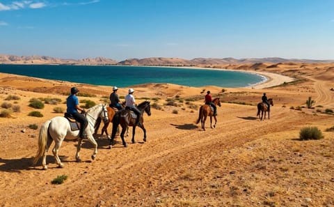 Horseback Riding Adventure in Nabq Bay, Sharm El-Sheikh