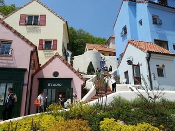 Cultural Day Tour to Nami Island and Petite France