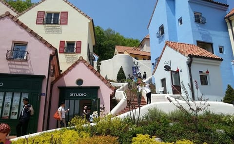 Cultural Day Tour to Nami Island and Petite France