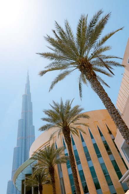 Instagram Special City Tour of Dubai with High Tea 5