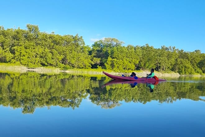 Kayak Experience in the Mangroves of Holbox Island photo 5
