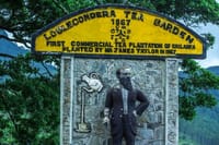 James Taylor's Tea Story Tour from Kandy 1
