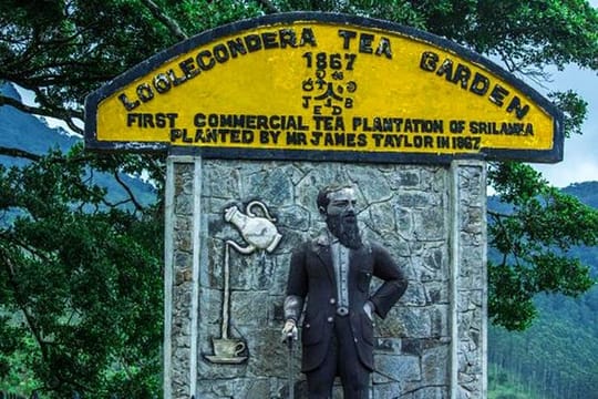 James Taylor's Tea Story Tour from Kandy