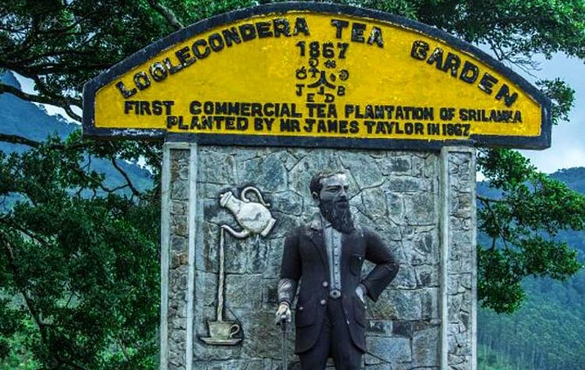 James Taylors Tea Story Tour from Kandy