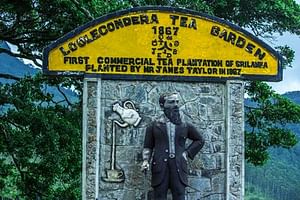 James Taylors Tea Story Tour from Kandy