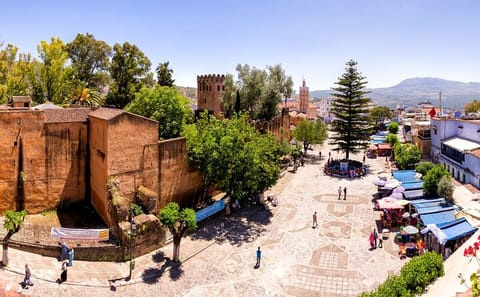 Full-Day Cultural Tour of Chefchaouen from Casablanca