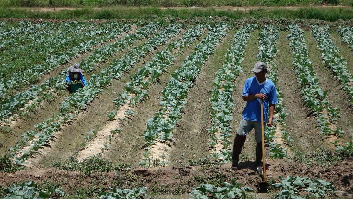 Chiang mai Suthep National Park Leisure Hiking & Mountain Biking
