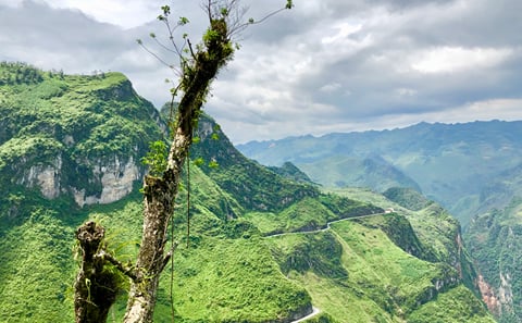 Day Trekking Adventure in Dong Van, Hà Giang