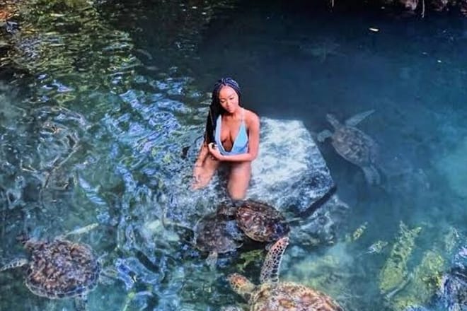 Zanzibar Swim with Dolphins and Turtles Visit at the Aquarium photo 4