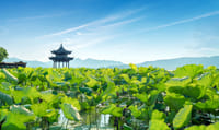 All-Inclusive Private Day Tour to Lotus Hill and Shawan Old Town from Guangzhou 2