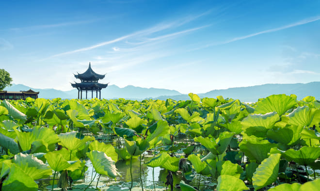 All-Inclusive Private Day Tour to Lotus Hill and Shawan Old Town from Guangzhou 2