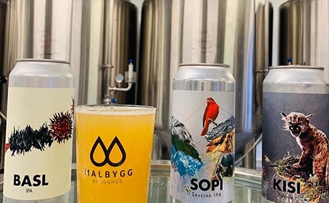 Private Beer Tasting Tour at Reykjavik Breweries