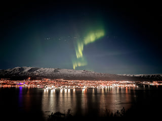 Private Adventure! Arctic Odyssey: Huskies and the Aurora Borealis!, photo 8