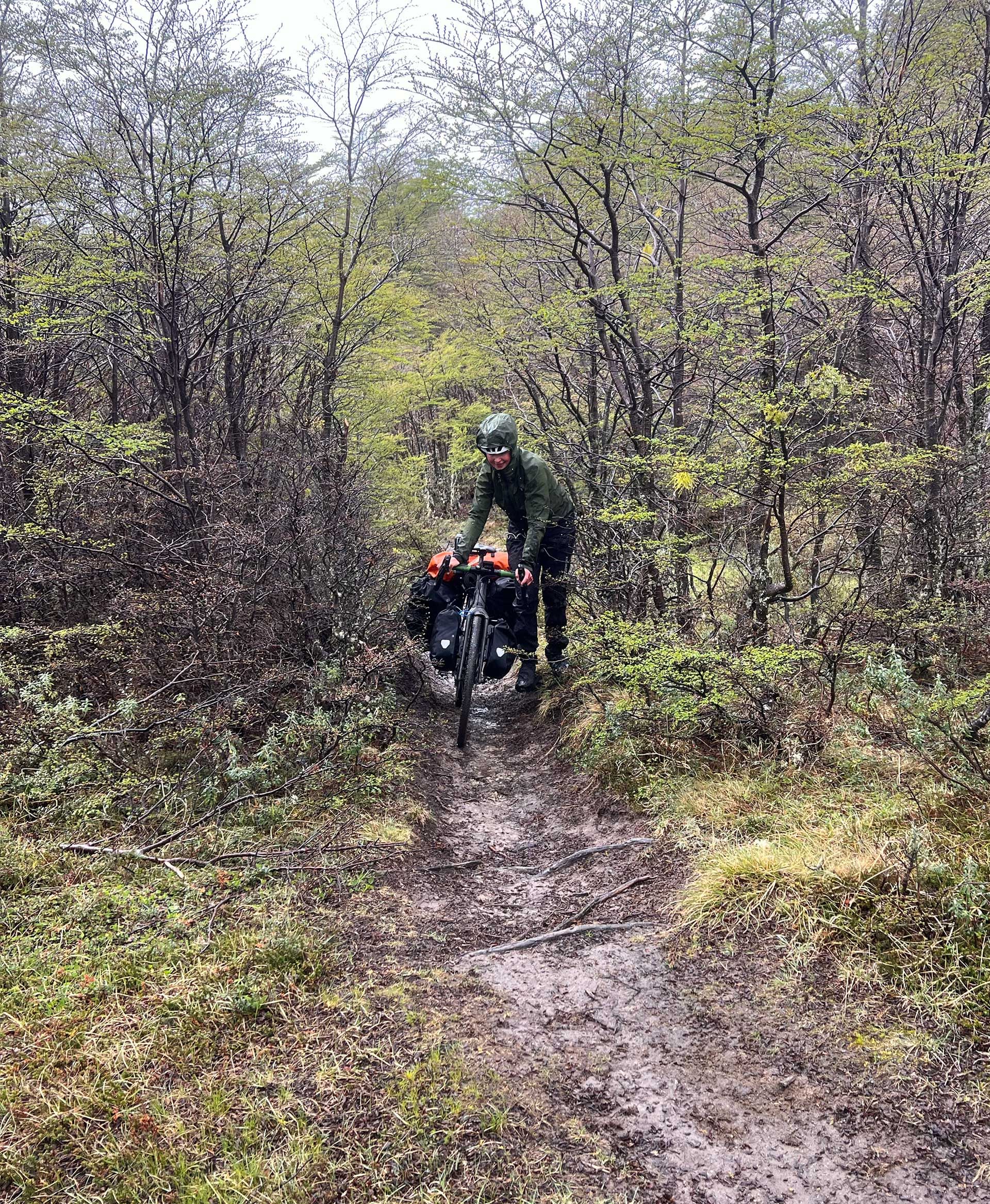 Ciclista en el bosque que conecta Candelario Mancilla con Lago del Desierto