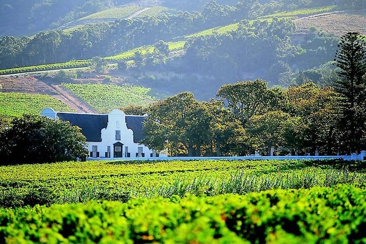 Cape Winelands Private Tour to Stellenbosch and Franschhoek