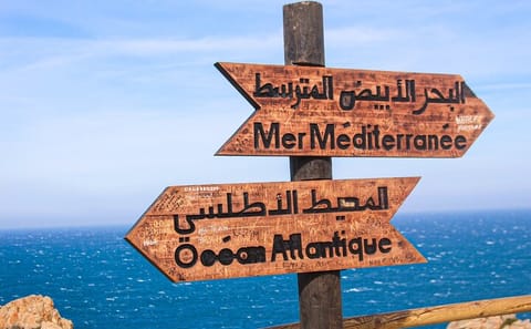 Full-Day Tour of Tangier and Asilah with Camel Ride