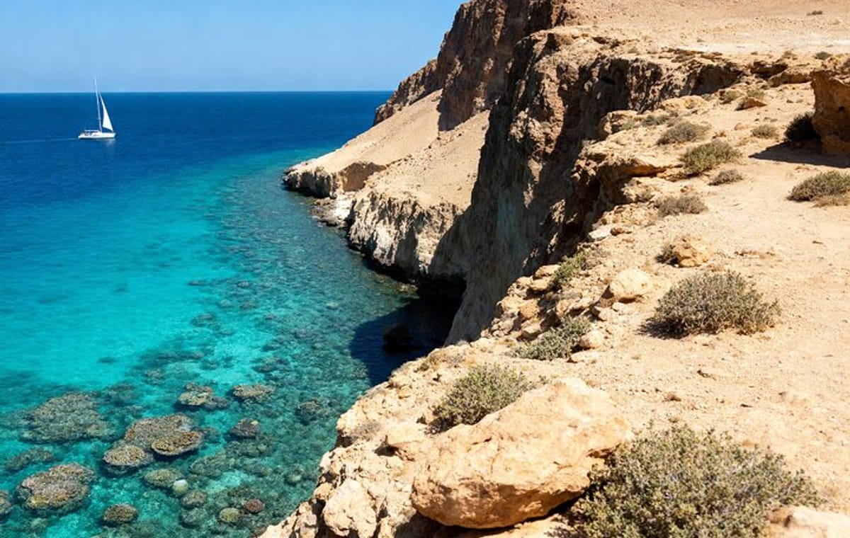 Ras Mohammed National Park Half Day Tour by Bus From Sharm