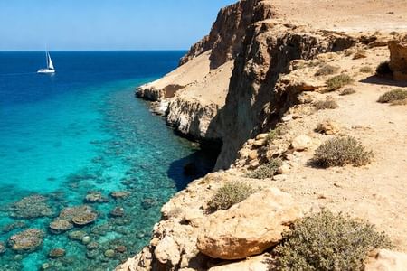 Ras Mohammed National Park Tour: Snorkeling and Swimming Adventure