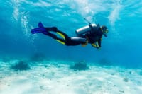 Scuba Diving Tour 2