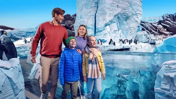A family of four walking through an icy polar exhibit with penguins swimming in a large glass tank at Sea World Abu Dhabi.