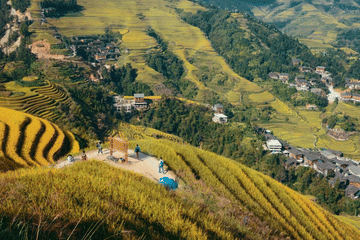 One-Day Excursion to Longji Rice Terraces in Guilin