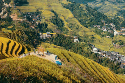 One-Day Tour of Longji Golden Pit: Round-Trip Bus + Golden Buddha Peak + Xishan Shaoyue