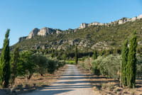 Visite du Domaine du Vallon des Glauges et dégustation 1