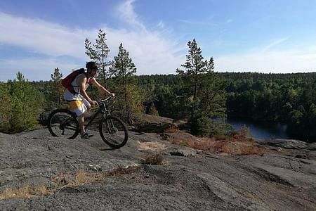 Beginner Mountain Biking Adventure in Stockholm’s Enchanting Forests