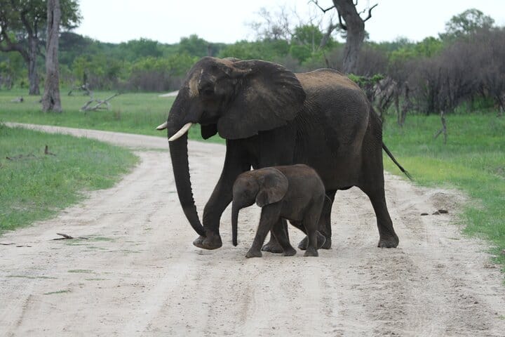 15 minutes scenic helicopter flight above Victoria Falls-Zimbabwe