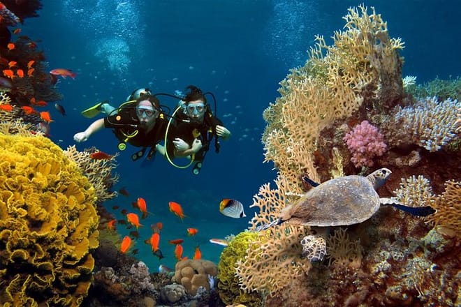 PADI Open Water Course Advanced Diving in Hurghada - Hurghada