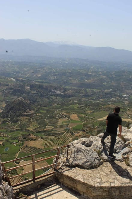 Experience the Minoan grapes at a local vineyard 3