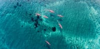 Sunset Sea Kayak & Snorkel with Dinner 4