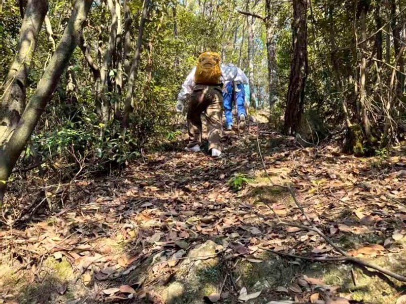 Guangzhou: Dongguan Tea Hills & Beef Feast Private Trip