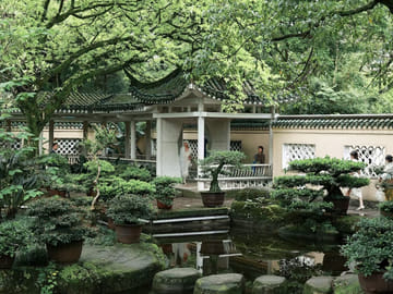 2-Day Essence of Chongqing Tour