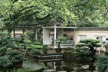Two-Day Cultural Tour of Chongqing, China