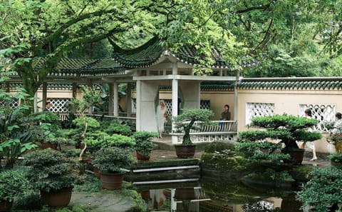 Two-Day Cultural Tour of Chongqing, China
