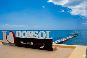 Bicol Philippines: Donsol Sorsogon Whale Shark Interaction 