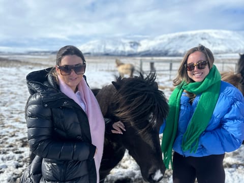 Golden Circle Private Tour with Secret Lagoon from Reykjavik, photo 4