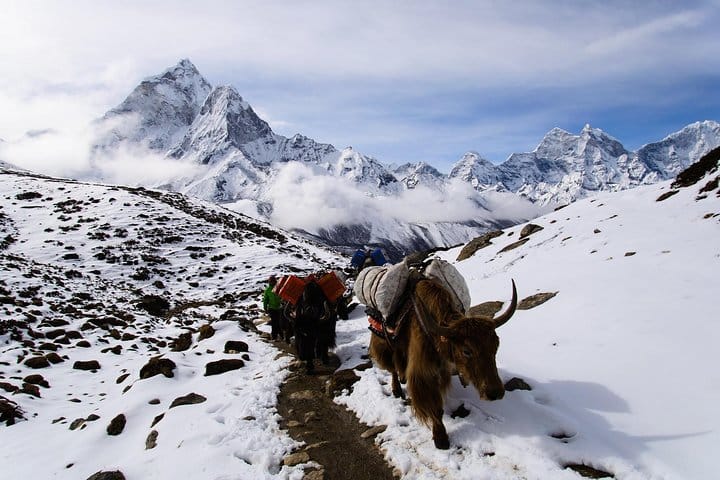 19 Days Mera Peak Climbing & Expedition – One Life-Changing Himalayan Adventure