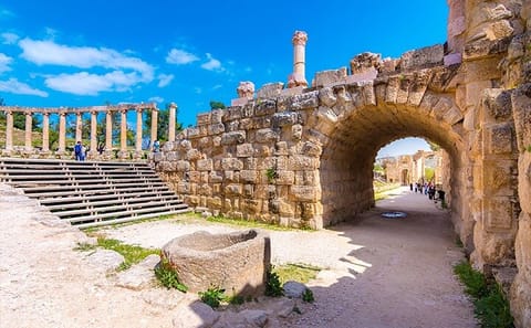 Private Half Day Tour of Jerash and Amman from Dead Sea
