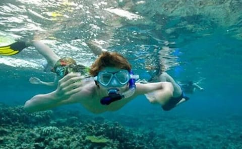 Snorkeling Adventure at Coral Reefs in Colombo, Sri Lanka