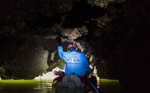 Phang Nga Bay, James Bond Island & Sea Caves Kayaking Tour