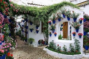 Patios & Perfums of Cordoba Festival Tour