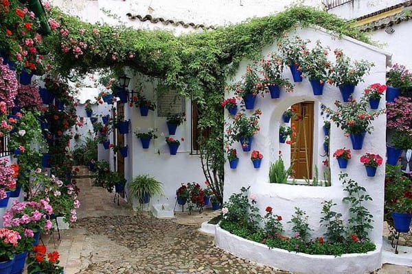 Patios & Perfums of Cordoba Festival Tour
