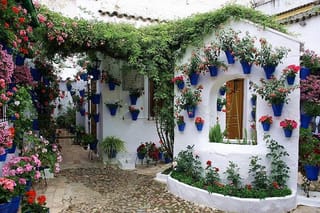 Patios & Perfums of Cordoba Festival Tour