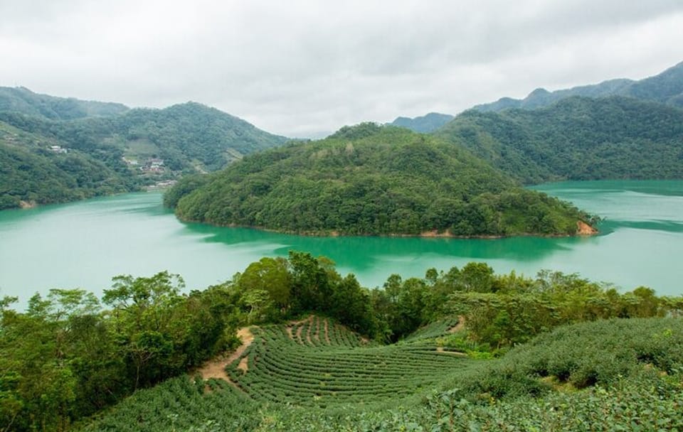 Thousand Island Lake and Pinglin Tea Plantation Tour from Taipei
