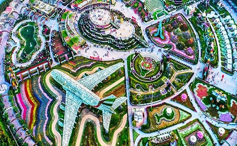 Dubai Miracle Garden Ticket with Dubai City Tour