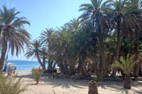 Full Day Private Tour to Vai Palm Beach  3